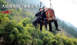 重庆奉节县爆料案件最新,案情细节及最新进展揭秘”